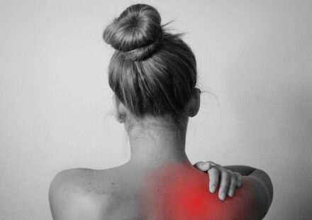 Arched Back in Cats: Signs, Causes, and When to Seek Vet Care 2026