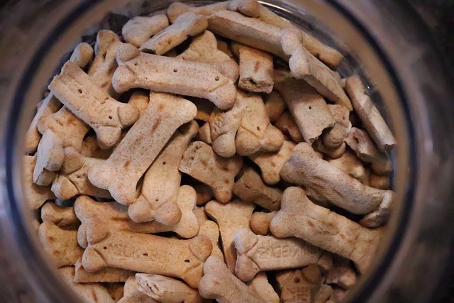 Close-up of a dog food bag showing guaranteed analysis