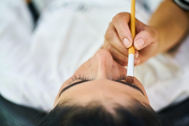 Close-up of a groomer brushing the lustrous black coat of a Shih Tzu, highlighting the need for regular care.