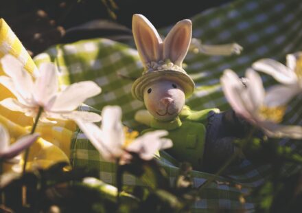 cute bunny with name tag