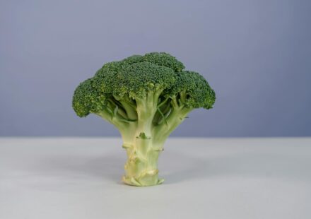 dog eating broccoli