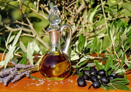 can dogs eat olive oil