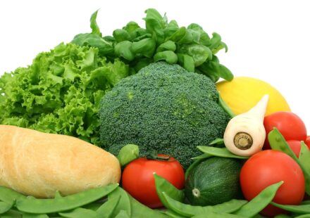 can dogs have broccoli