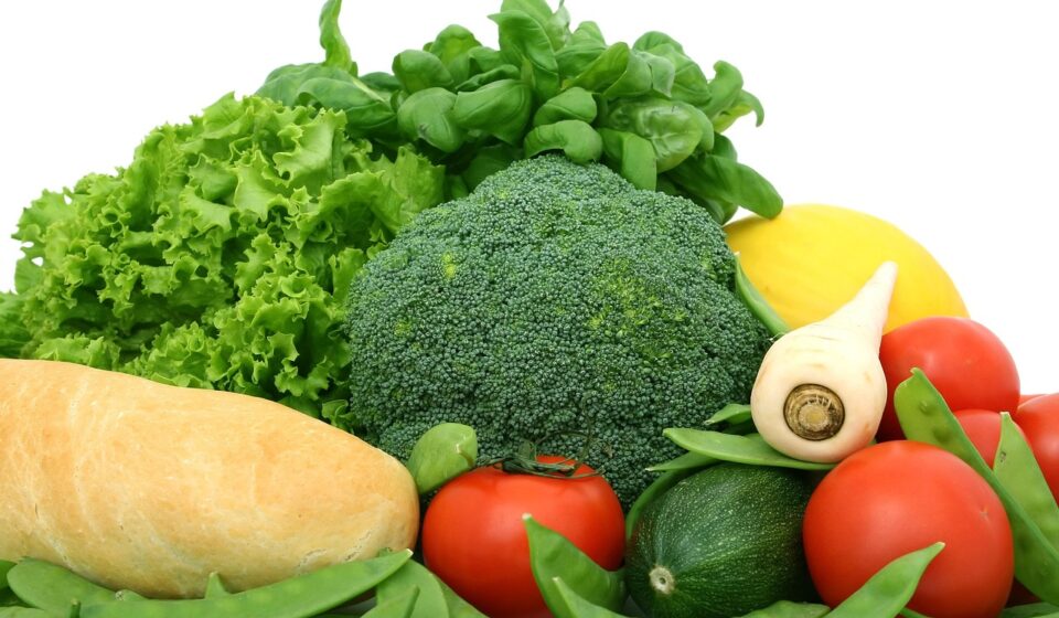 can dogs have broccoli