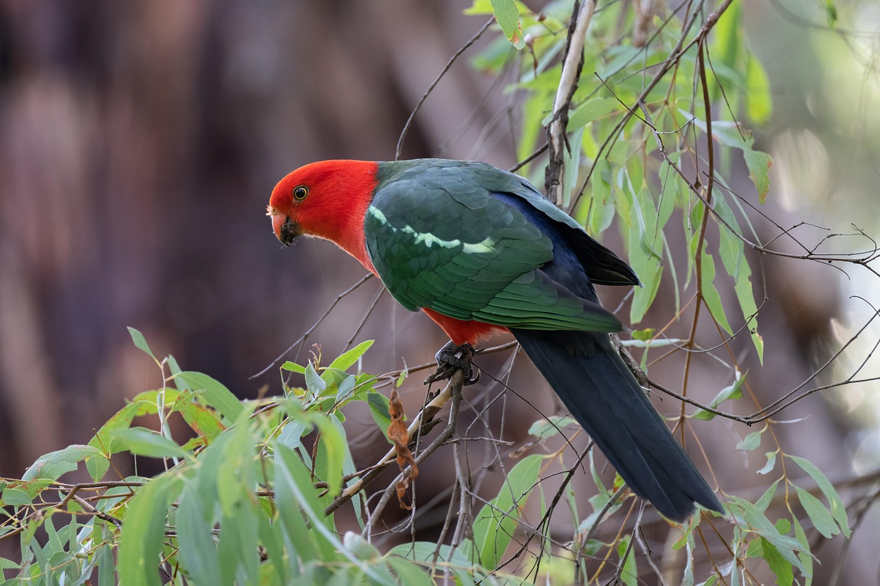 Green Parrot Green: Understanding the Vibrant Hue