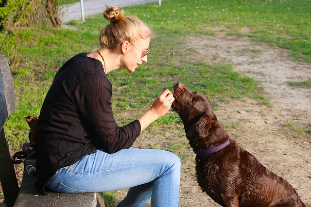 Owner measuring dog food into a bowl