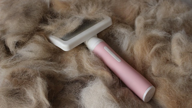 A person brushing a Golden Shepherd's coat