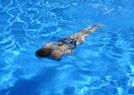 Pimelodus pictus catfish swimming