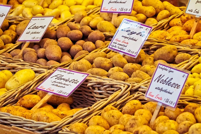 Variety of healthy dog treats: chicken, carrots, dog biscuits