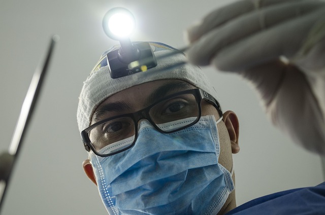Veterinarian using a dental speculum to examine a horse's molars.