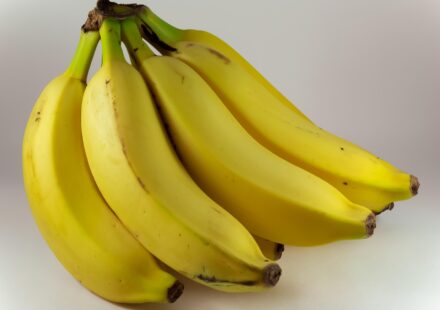 Are Bananas Good for Dogs? A 2026 Guide