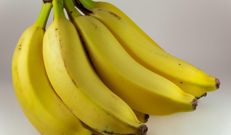 Are Bananas Good for Dogs? A 2026 Guide