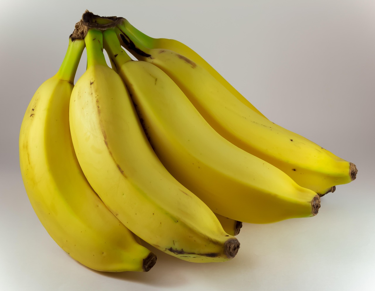 Are Bananas Good for Dogs? A Guide