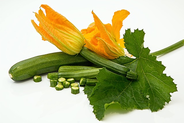 Close-up of a blanched zucchini slice in an aquarium