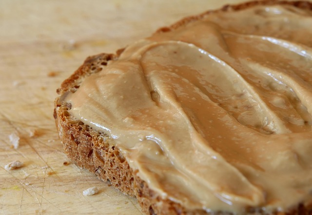 close-up of a peanut butter jar label highlighting 'xylitol-free' (can cats eat peanut butter)