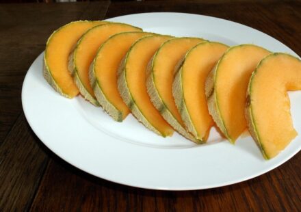 dog eating cantaloupe