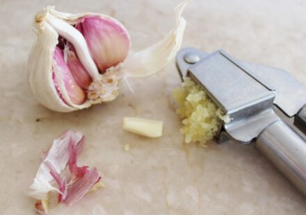 dog eating garlic
