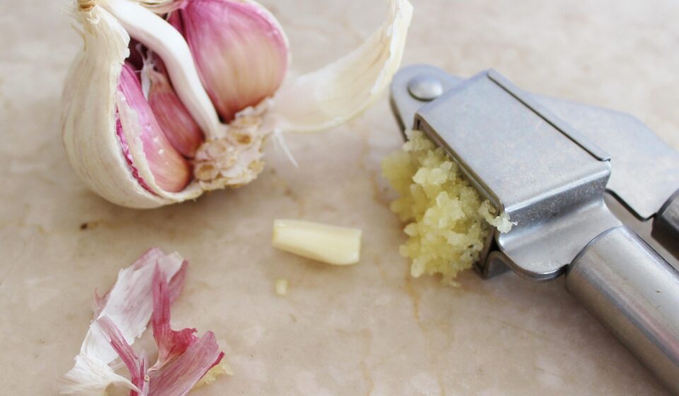 dog eating garlic