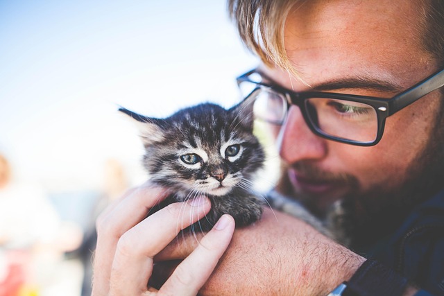 A frustrated cat owner looking at a bowl of dry kibble while their cat ignores it, preferring a Friskies Lil' Soups pouch.