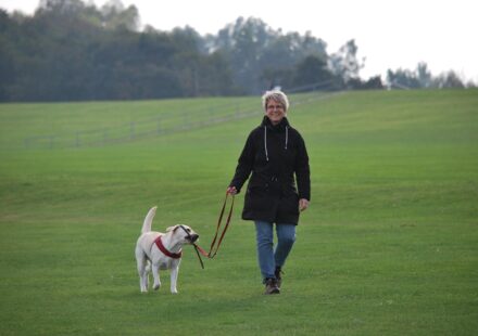 japanese dog with owner