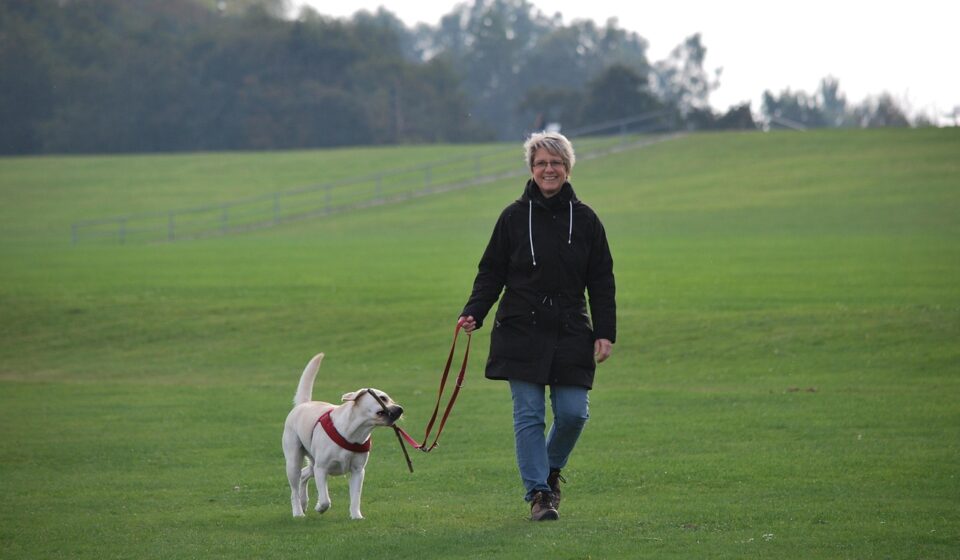 japanese dog with owner