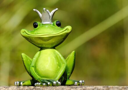 pacman frog morph