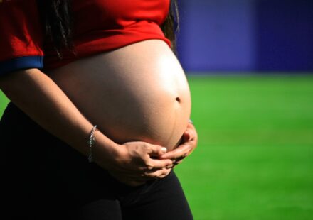 pregnant dog belly
