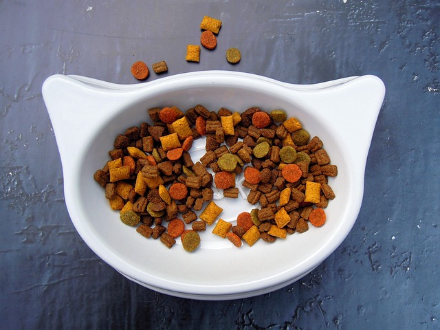 Split image showing a bowl of dry cat chow kibble on one side and a can of wet cat chow pate on the other
