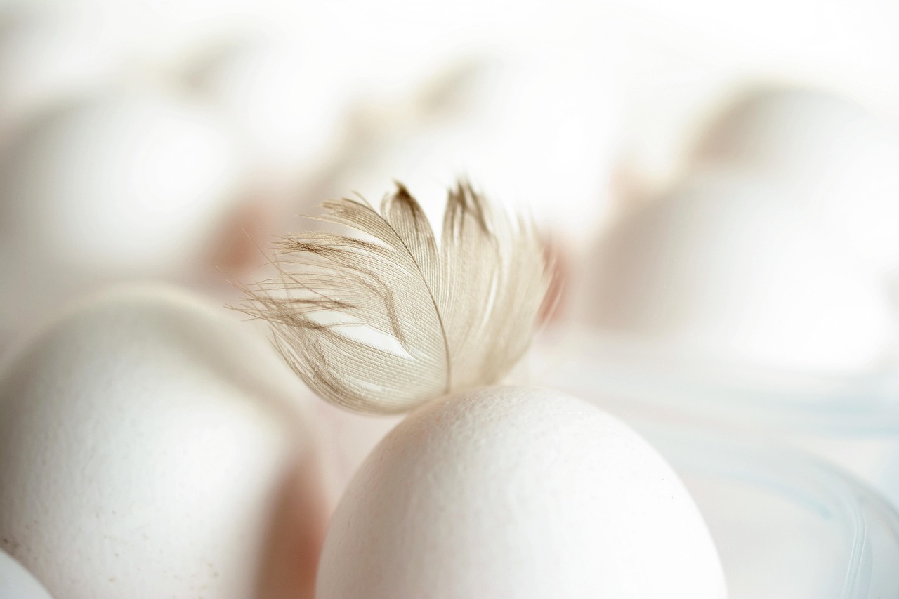 Can Chickens Eat Celery Safely? Expert Guide
