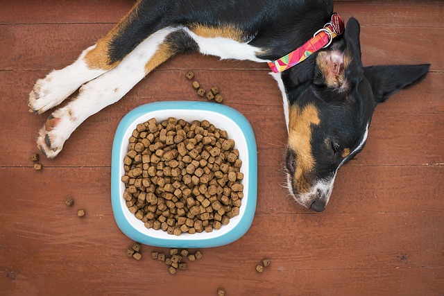 Close-up of high-quality kibble with visible meat chunks, ideal for staffy food