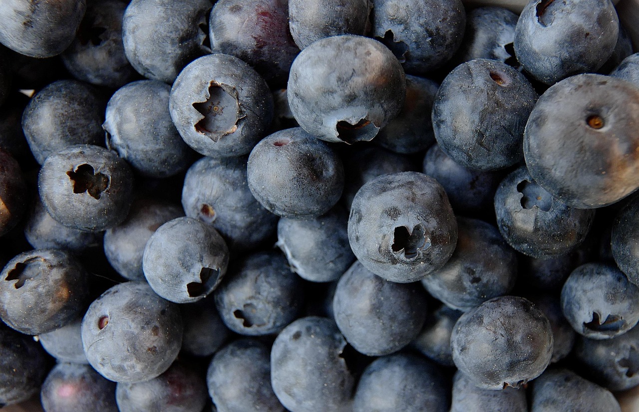 Can Dogs Eat Blueberries? Your Guide to Safe Snacking