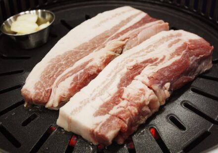 dog eating meat