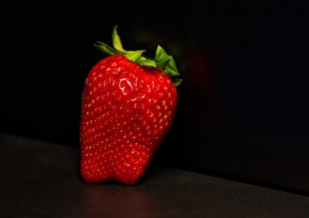 dog eating strawberry