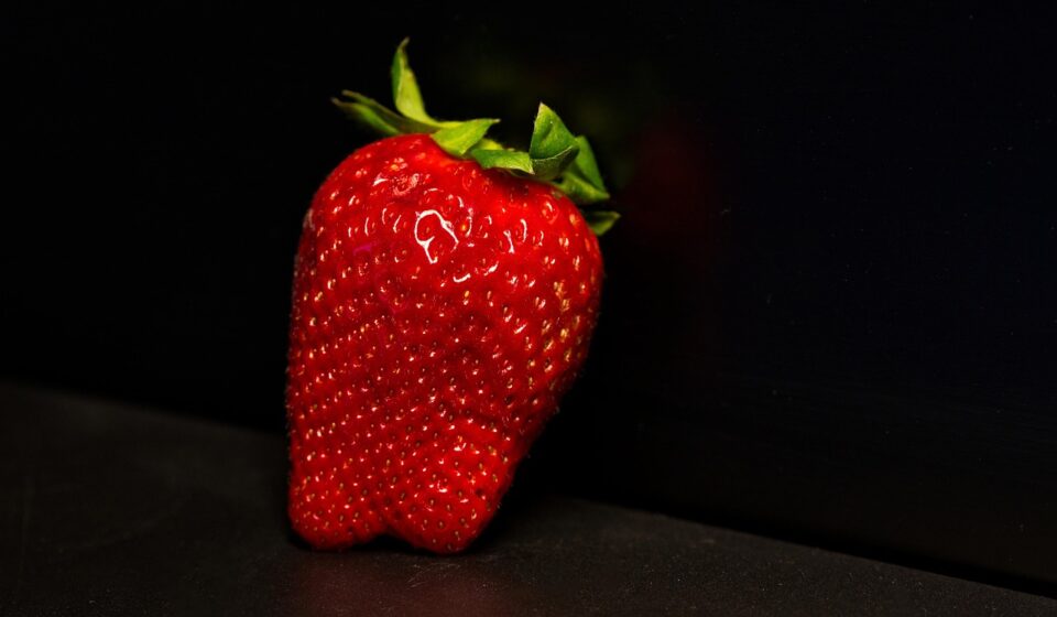 dog eating strawberry