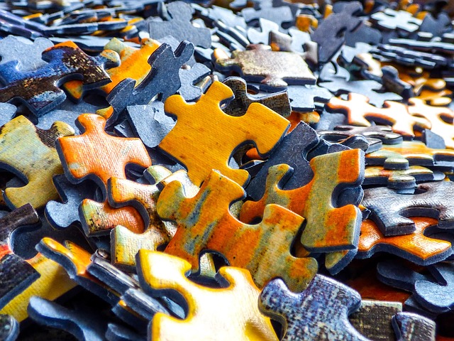 Dog engaging with a puzzle toy, demonstrating mental stimulation