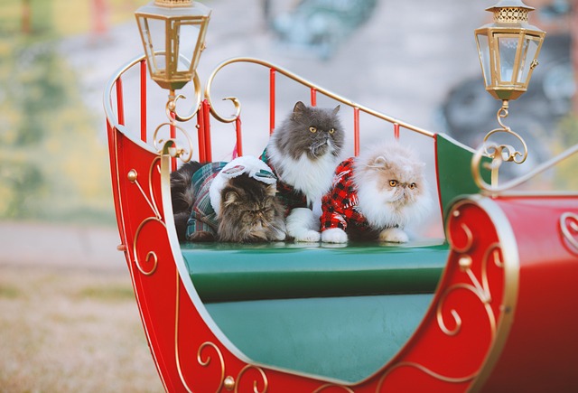 Illustration of historical Persian cats in regal settings