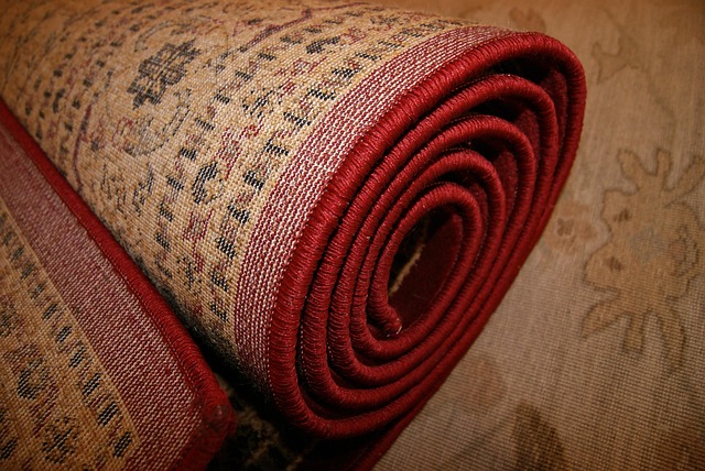 Various Aldi rugs displayed in a retail setting, highlighting different styles and sizes