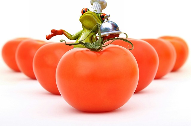 William Cook, the creator of the Orpington chicken breed, in historical attire. (orpington breeds)