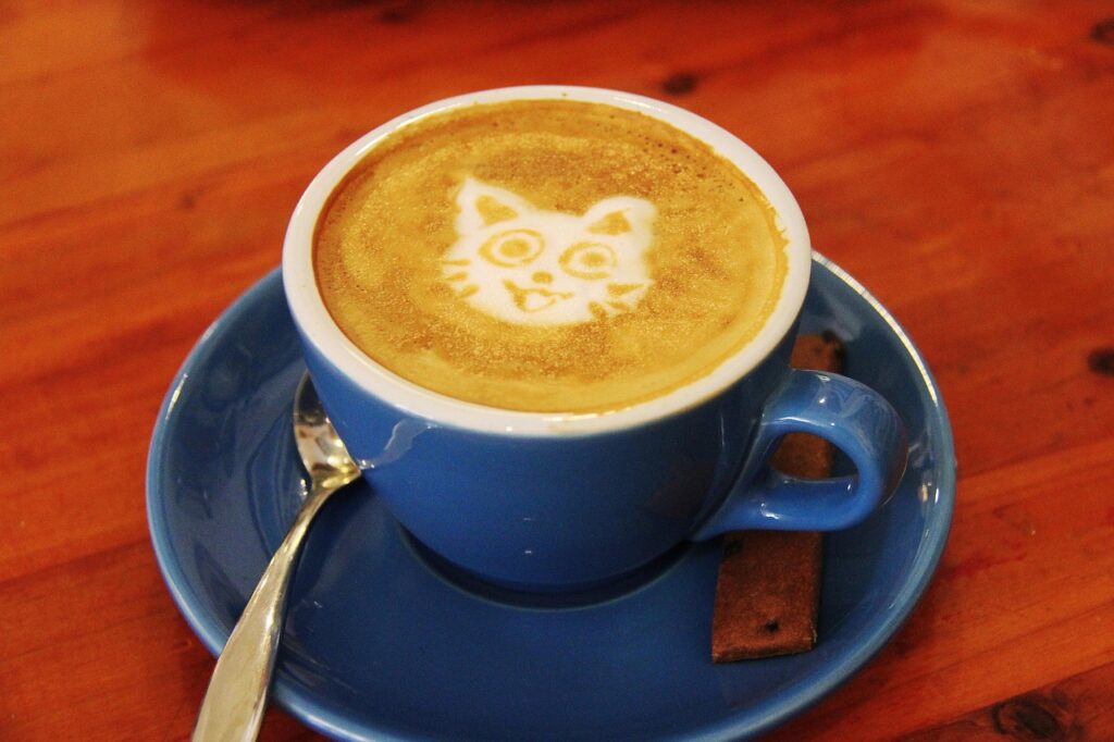 cat drinking milk from saucer
