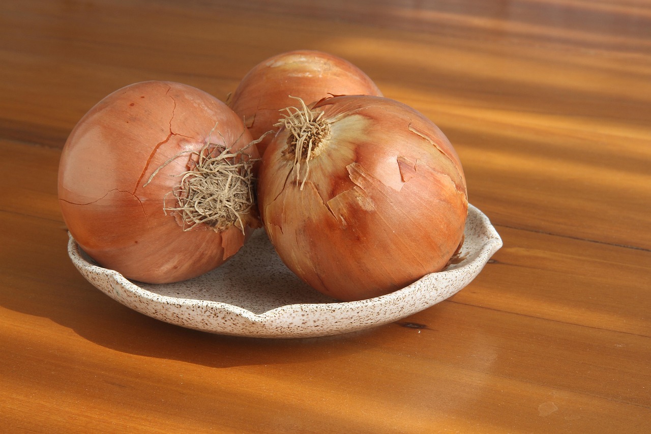 Are Onions Bad for Dogs? Understanding the Dangers
