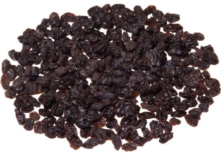 dog eating raisins