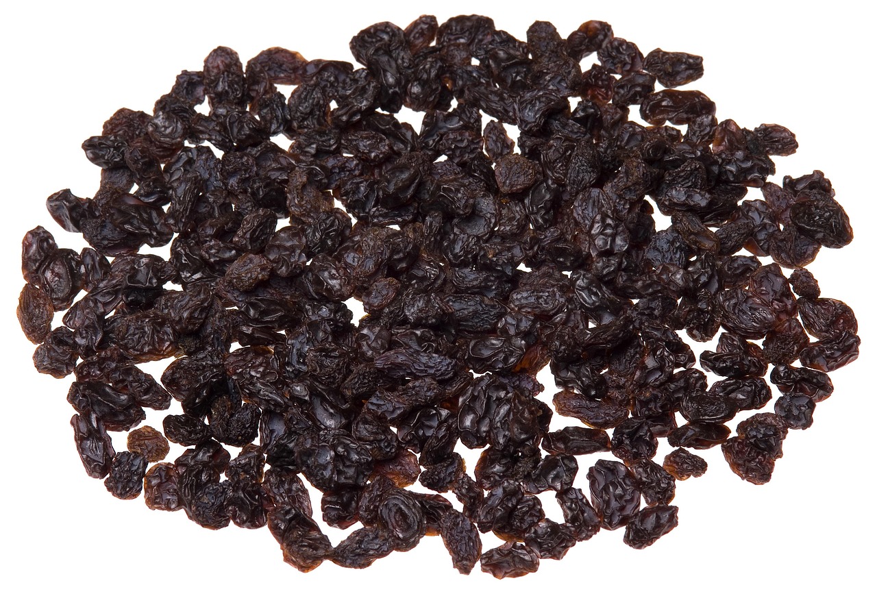 Can Dogs Eat Raisins? What Every Owner Needs to Know