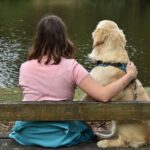 What Are the Most Popular Pets? Your Guide