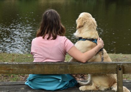 What Are the Most Popular Pets? Your Guide