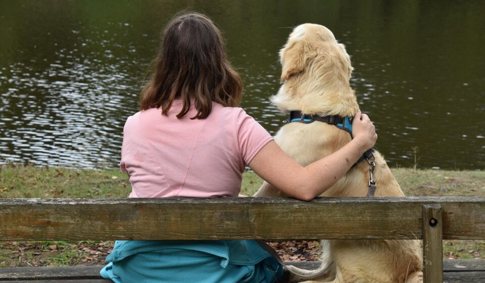 What Are the Most Popular Pets? Your Guide