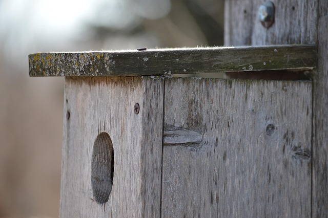 A wooden nest box filled with straw for a pregnant rabbit
