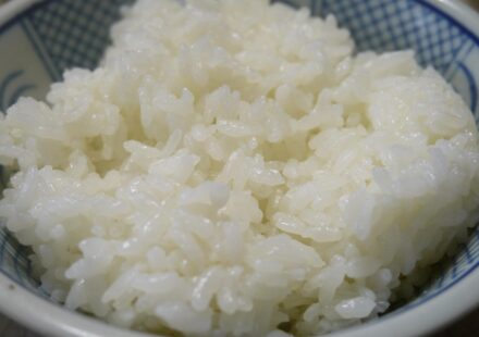 Can Dogs Eat Rice? Safe Feeding and Preparation Guide