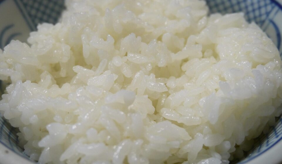Can Dogs Eat Rice? Safe Feeding and Preparation Guide