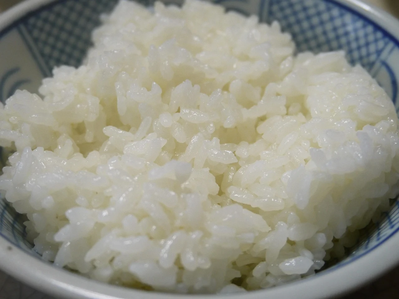Can Dogs Eat Rice? Safe Feeding and Preparation Guide