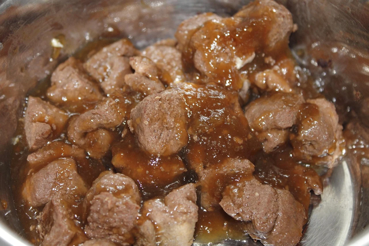 High Protein Dog Food: Benefits, Needs and Transition Guide